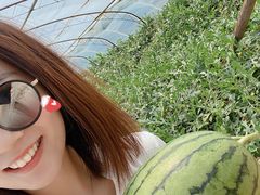 -庞各庄西瓜蔬菜采摘园·锦华瓜园
