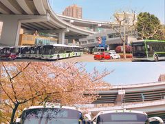 -南浦大桥长途旅游客运站