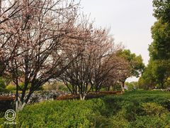-江南大学(蠡湖校区)