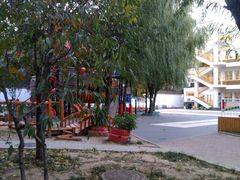 -启明东润幼儿园(东润园)