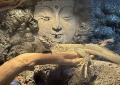 点击看大图 -酷嗒动物文化乐园(cutezoo西溪乐天城店)