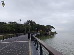-深圳湾公园(南山区)