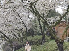 -杭州少年儿童公园