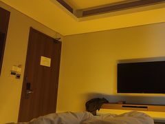 -抚仙湖万达文华酒店