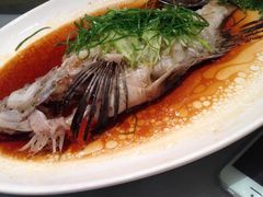 -金悦轩海鲜酒家(银河店)