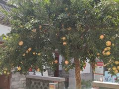 -老舍旧居