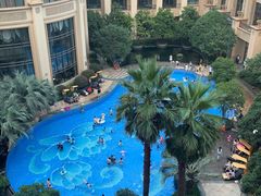 -上海浦东星河湾酒店