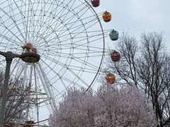 -西安浐灞国家湿地公园