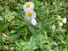 -广富林郊野公园