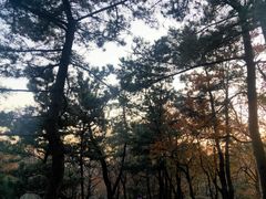 -崂山巨峰游览区