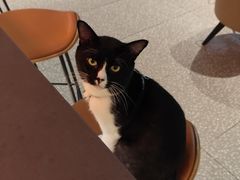 -星巴克臻选(上海合生汇1F店)