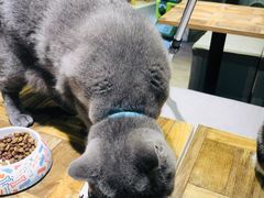 -小时光咖啡馆(开森度假森林店)