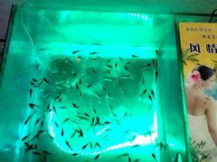 -卡拉卡拉漫温泉汗蒸