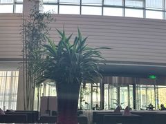 -天津海河悦榕庄·Lobby Lounge大堂吧