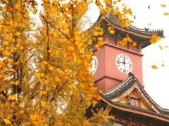 -四川大学(望江校区)