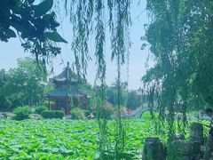 -莲池书院博物馆