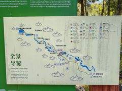 -莫里热带雨林景区