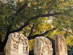 -北京石刻艺术博物馆(五塔寺)