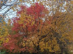 -三块石国家森林公园