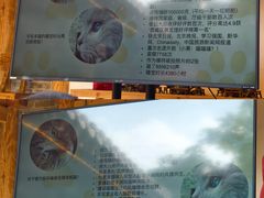 -创艺无限·赵春香微妙艺术馆