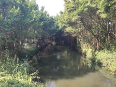 -大湾区中央湿地公园