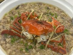 -泉龙渔村·粤式早茶·金牌烧鹅(中山三乡店)