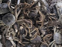 -江杨农产品批发市场