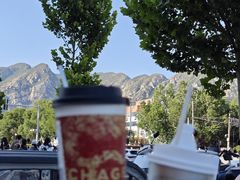 -雾与山茶(大禹城店)