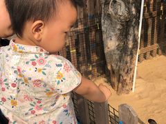 -三亚海棠湾万丽度假酒店