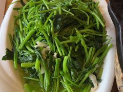 -红果树(江光店)