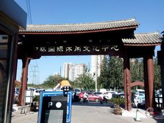 -中环花鸟鱼虫市场
