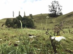 -怀托摩萤火虫洞