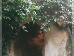 -南山植物园