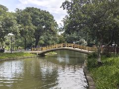 -晓港公园