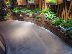 -番食园鲜食火锅(高新店)