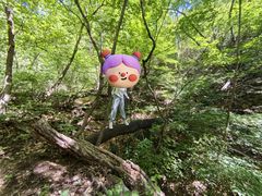 -云蒙山风景区