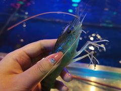-钳真多钓虾馆·小龙虾海鲜烧烤(九六广场店)