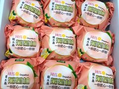 -上海龙吴水胜海发市场