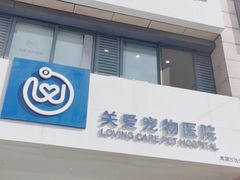 -关爱宠物医院·猫科中心·消化科(滨湖万达分院)