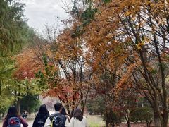 -南湖湿地公园