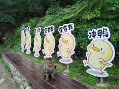 -终南山南五台景区