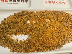 -邢氏老太太烤串(北兴街店)