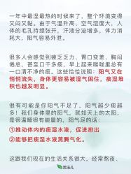-雅曼妮spa美容养生