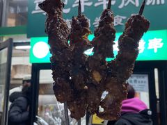 -景泰马记电烤串