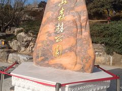 -北京西山国家森林公园