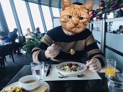 -澳门旅游塔360°旋转餐厅(南湾湖广场店)