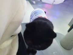 -极木²邸 人与宠物·互动社区