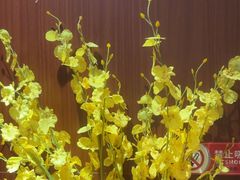 -金枝玉叶上海人家食府(三里河店)