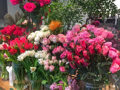 -植物学家的女儿(北马道巷店)