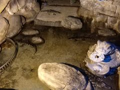 -蓬莱欧乐堡海洋极地世界